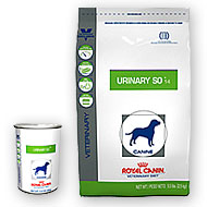 vet prescription dog food